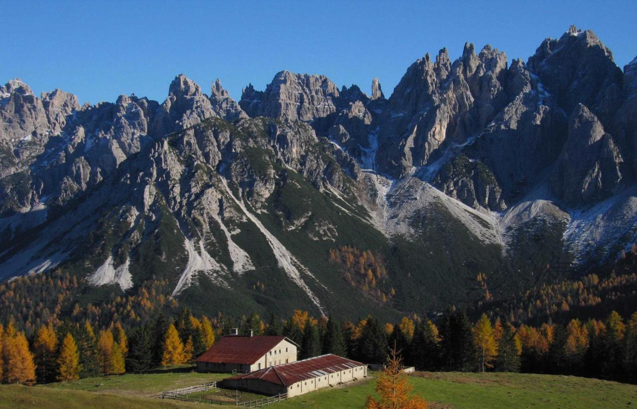 Hotel Belvedere Dolomiti Pieve di Cadore Exterior foto